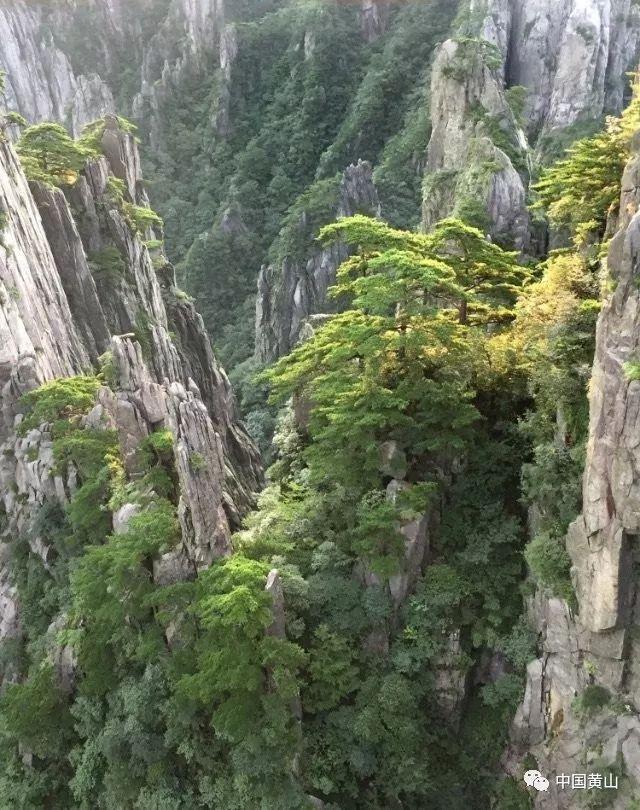 救援外星小怪物